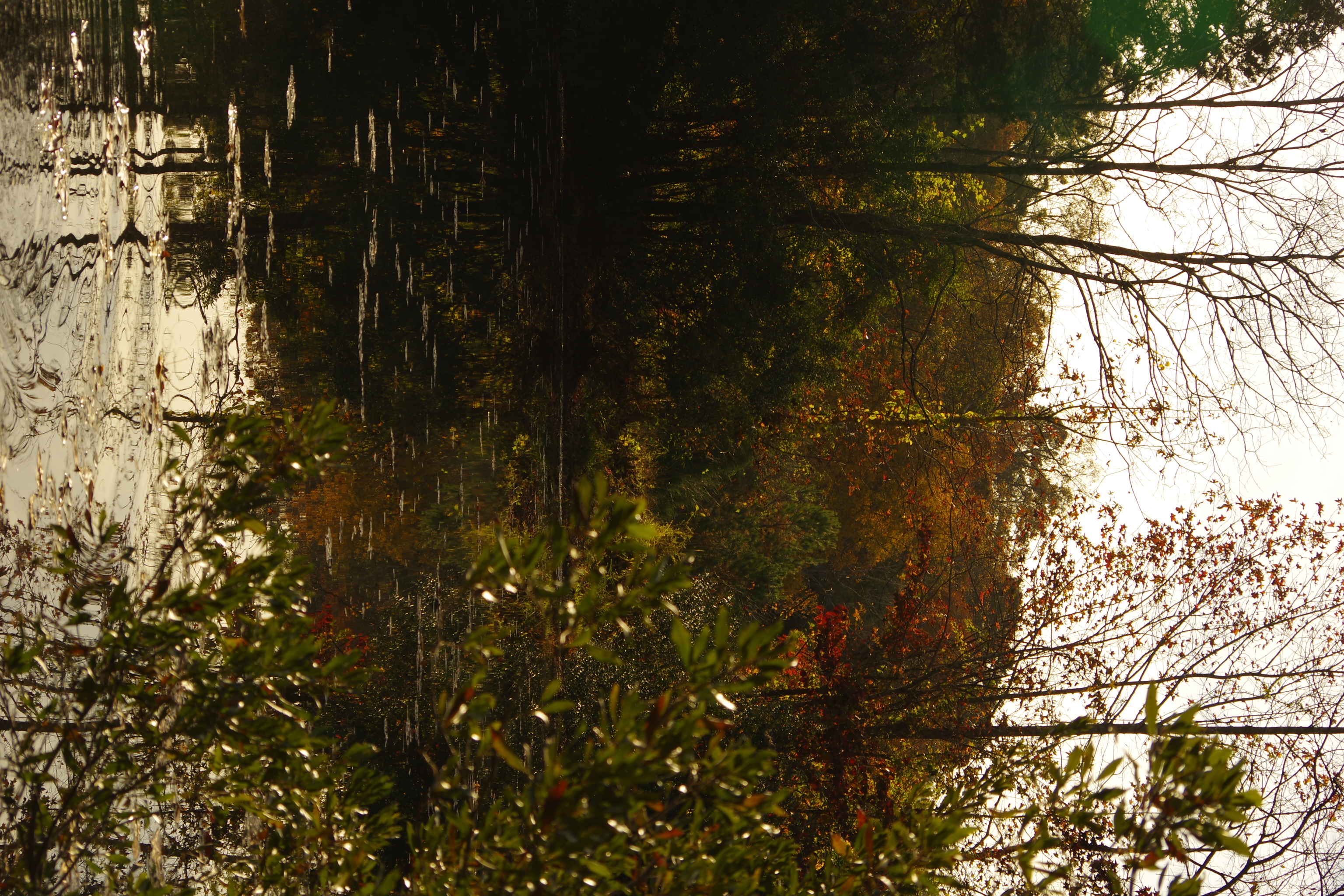 Merritt's Pasture pond
